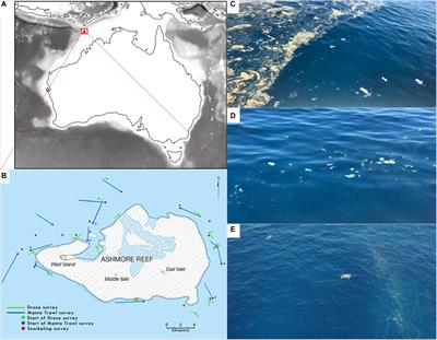 Coastal Garbage Patches: Fronts Accumulate <mark class="highlighted">Plastic Films</mark> at Ashmore Reef Marine Park (Pulau Pasir), Australia